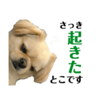 リッツ 3（個別スタンプ：7）