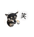 黒柴犬天ちゃんの日常（個別スタンプ：8）