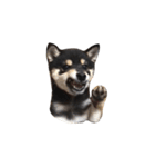 黒柴犬天ちゃんの日常（個別スタンプ：15）