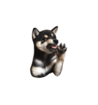 黒柴犬天ちゃんの日常（個別スタンプ：17）
