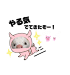 イタチのやばみー！スタンプ第2弾（個別スタンプ：5）