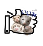 イタチのやばみー！スタンプ第2弾（個別スタンプ：23）