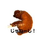 すーぱーたいちくん（個別スタンプ：2）