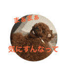 すーぱーたいちくん（個別スタンプ：5）