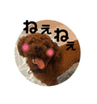 すーぱーたいちくん（個別スタンプ：11）