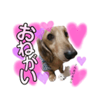 ぐぅーたん♡日常スタンプ（個別スタンプ：6）