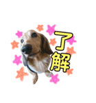 ぐぅーたん♡日常スタンプ（個別スタンプ：8）