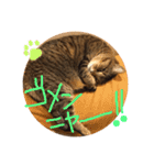 ちょぼマロ（個別スタンプ：10）