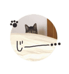 ちょぼマロ（個別スタンプ：21）