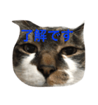 みうごん（個別スタンプ：1）