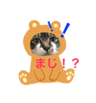 みうごん（個別スタンプ：2）