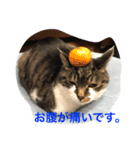 みうごん（個別スタンプ：3）