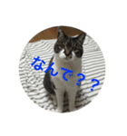 みうごん（個別スタンプ：4）