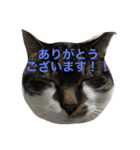 みうごん（個別スタンプ：7）