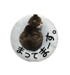 みうごん（個別スタンプ：8）