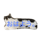 みうごん（個別スタンプ：10）