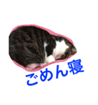みうごん（個別スタンプ：11）