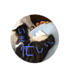 みうごん（個別スタンプ：12）