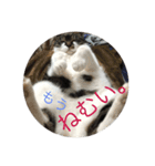 みうごん（個別スタンプ：16）