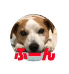 ジョンとチョコのすたんぷ（個別スタンプ：2）