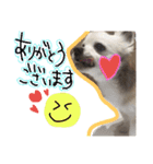 ぼくコンタ！！（個別スタンプ：5）