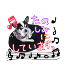 敬語のチワワたち（個別スタンプ：26）