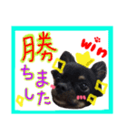 敬語のチワワたち（個別スタンプ：27）