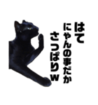 黒猫のジョーふてこいスタンプ（個別スタンプ：4）