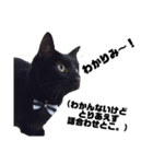 黒猫のジョーふてこいスタンプ（個別スタンプ：9）