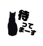 黒猫のジョーふてこいスタンプ（個別スタンプ：14）
