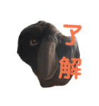 春之助とモーちゃん（個別スタンプ：1）