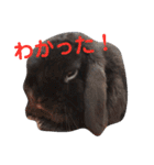 春之助とモーちゃん（個別スタンプ：4）