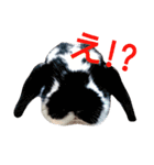 春之助とモーちゃん（個別スタンプ：7）