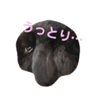 春之助とモーちゃん（個別スタンプ：9）