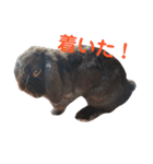 春之助とモーちゃん（個別スタンプ：17）