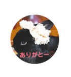 春之助とモーちゃん（個別スタンプ：21）