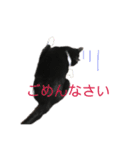 猫の勘九郎 2（個別スタンプ：8）