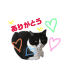 猫の勘九郎 2（個別スタンプ：9）