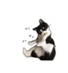 猫の勘九郎 2（個別スタンプ：12）