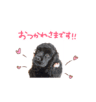 お孫ちゃんスタンプ（個別スタンプ：10）