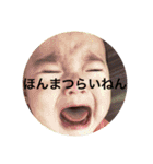 りんころあんころ2（個別スタンプ：6）