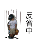 はうる2（個別スタンプ：7）