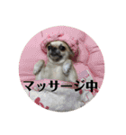 ゆずおさん（個別スタンプ：3）