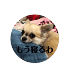 ゆずおさん（個別スタンプ：10）