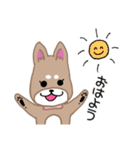 毎日つかえる柴犬スタンプ（個別スタンプ：2）