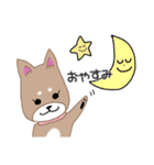毎日つかえる柴犬スタンプ（個別スタンプ：3）