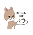 毎日つかえる柴犬スタンプ（個別スタンプ：4）