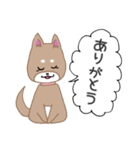 毎日つかえる柴犬スタンプ（個別スタンプ：5）