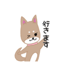 毎日つかえる柴犬スタンプ（個別スタンプ：7）