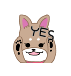 毎日つかえる柴犬スタンプ（個別スタンプ：9）